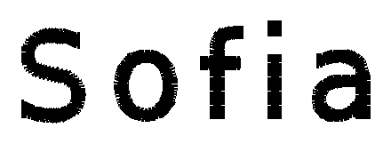 The name Sofia stitched in Block lettering